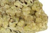 Yellow Topazolite Garnet Cluster - Mexico #169367-1